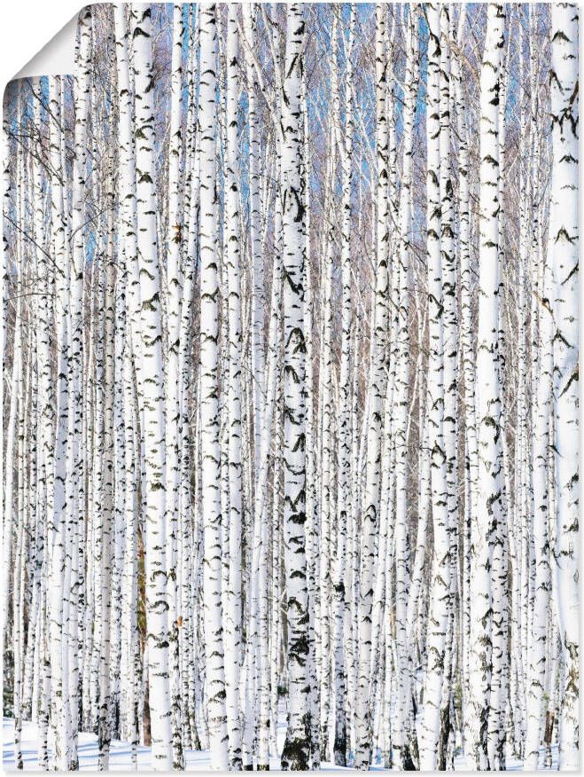 Artland Artprint Winter berkenbos winter sereniteit als artprint op linnen poster in verschillende formaten maten