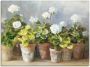 Artland Artprint Witte geraniums als artprint op linnen poster in verschillende formaten maten - Thumbnail 1