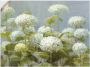 Artland Artprint Witte hortensia's tuin als artprint op linnen poster muursticker in verschillende maten - Thumbnail 1