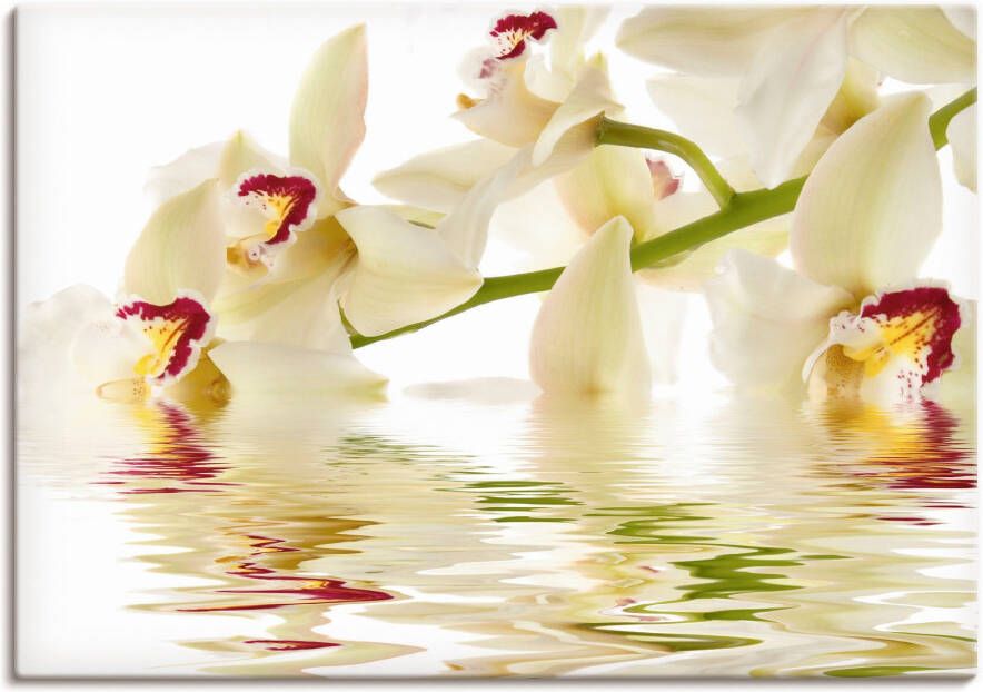 Artland Artprint Witte orchidee met waterreflectie als artprint op linnen poster in verschillende formaten maten