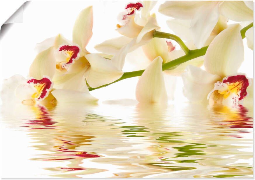 Artland Artprint Witte orchidee met waterreflectie als artprint op linnen poster in verschillende formaten maten