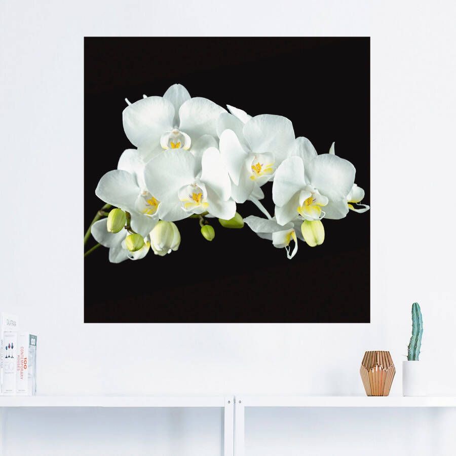 Artland Artprint Witte orchidee op een zwarte achtergrond als artprint op linnen poster muursticker in verschillende maten - Foto 1