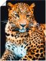 Artland Artprint Woedende wilde luipaard als artprint van aluminium artprint voor buiten artprint op linnen poster muursticker - Thumbnail 1