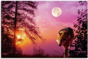 Artland Artprint Wolf bij volle maan als artprint van aluminium artprint op linnen muursticker of poster in verschillende maten