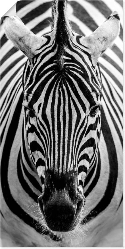 Artland Artprint Zebra als artprint op linnen poster muursticker in verschillende maten