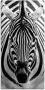 Artland Artprint Zebra als artprint op linnen poster muursticker in verschillende maten - Thumbnail 1