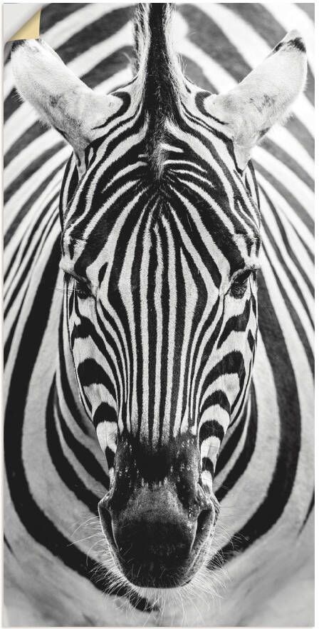 Artland Artprint Zebra als artprint op linnen poster muursticker in verschillende maten