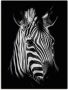 Artland Artprint Zebra als artprint van aluminium artprint voor buiten artprint op linnen poster muursticker - Thumbnail 1