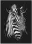 Artland Artprint Zebra als artprint van aluminium artprint voor buiten artprint op linnen poster muursticker - Thumbnail 1