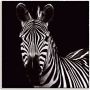 Artland Artprint Zebra II als artprint op linnen muursticker in verschillende maten - Thumbnail 1