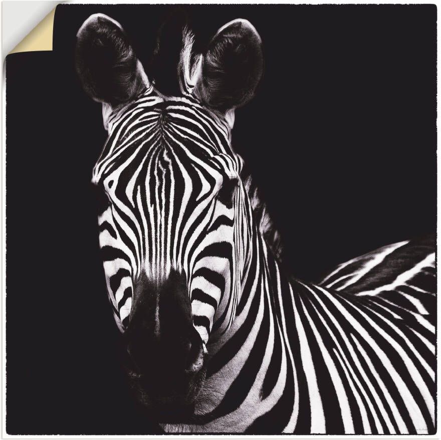 Artland Artprint Zebra II als artprint op linnen muursticker in verschillende maten