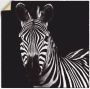 Artland Artprint Zebra II als artprint op linnen muursticker in verschillende maten - Thumbnail 1