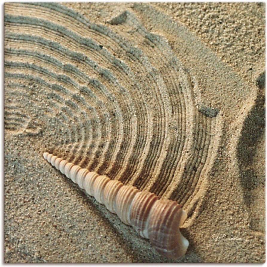 Artland Artprint Zen IV schelp in het zand als artprint van aluminium artprint voor buiten artprint op linnen in verschillende maten