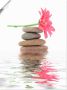 Artland Artprint Zen Spa stenen met bloemen I als artprint op linnen poster in verschillende formaten maten - Thumbnail 1