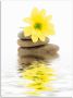 Artland Artprint Zen Spa stenen met bloemen II als artprint van aluminium artprint voor buiten artprint op linnen poster in verschillende maten. maten - Thumbnail 1