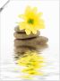 Artland Artprint Zen Spa stenen met bloemen II als artprint van aluminium artprint voor buiten artprint op linnen poster in verschillende maten. maten - Thumbnail 1