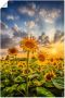 Artland Artprint Zonnebloemen in de zonsondergang als artprint op linnen poster in verschillende formaten maten - Thumbnail 1