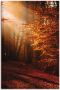 Artland Artprint Zonsopkomst in de herfst als artprint op linnen poster in verschillende formaten maten - Thumbnail 1