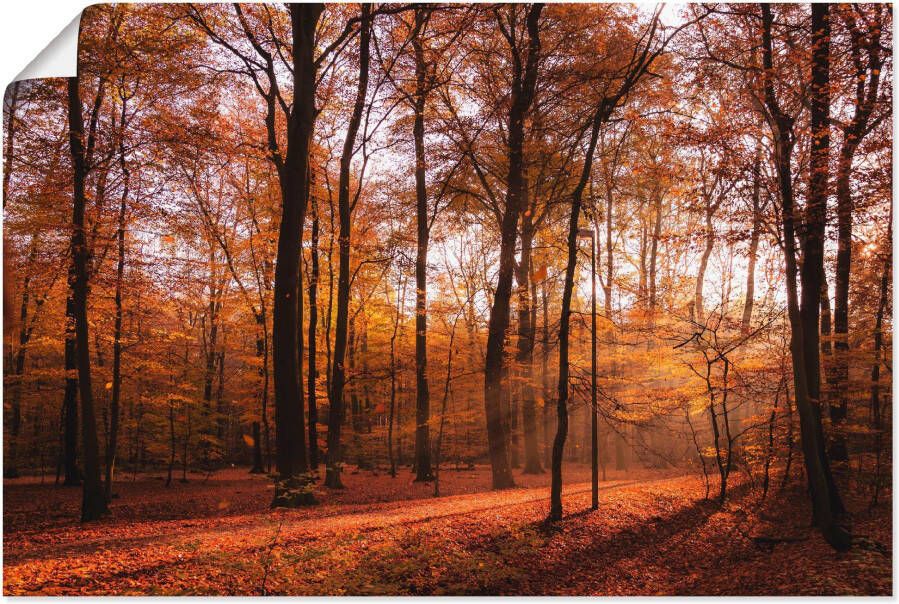 Artland Artprint Zonsopkomst in de herfst II als artprint van aluminium artprint voor buiten artprint op linnen poster muursticker - Foto 1