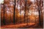 Artland Artprint Zonsopkomst in de herfst II als artprint van aluminium artprint voor buiten artprint op linnen poster muursticker - Thumbnail 1