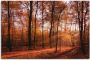 Artland Artprint Zonsopkomst in de herfst II als artprint van aluminium artprint voor buiten artprint op linnen poster muursticker - Thumbnail 1