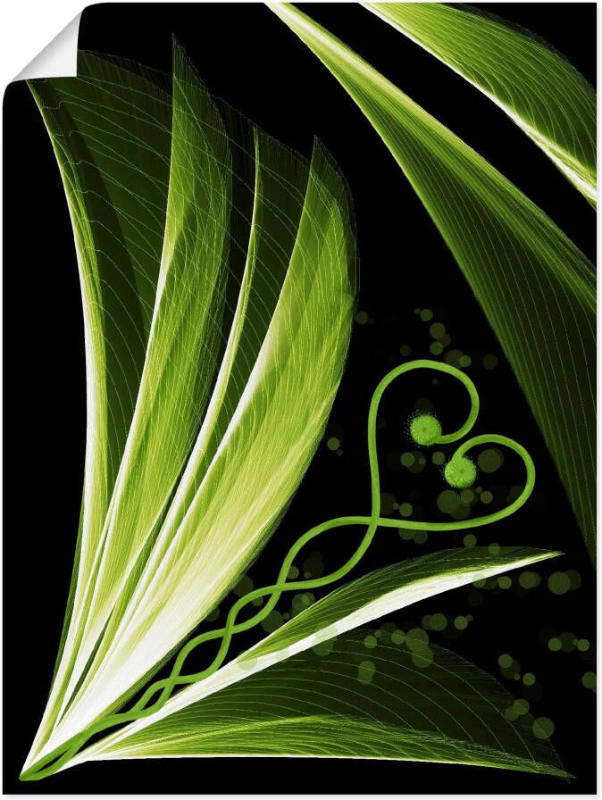 Artland Poster Groen hartvormig blad decoratief als artprint van aluminium artprint op linnen muursticker of poster in verschillende maten