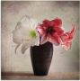Artland Print op glas Amaryllis vintage I in verschillende maten - Thumbnail 1