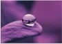 Artland Print op glas Amethist in verschillende maten - Thumbnail 1