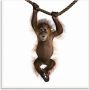Artland Print op glas Baby Sumatra orang oetan hangt aan het touw - Thumbnail 1