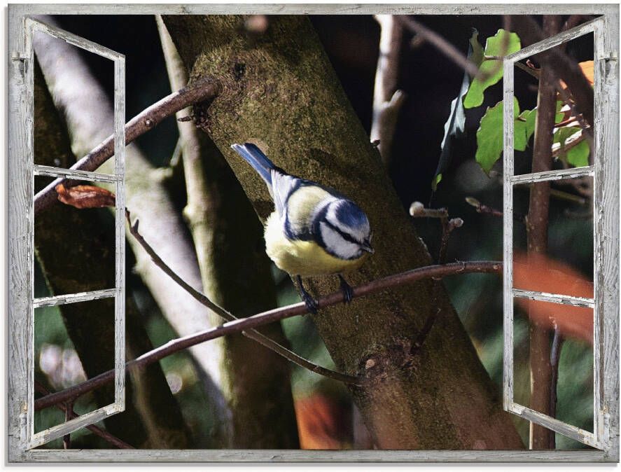 Artland Print op glas Blik uit het venster pimpelmees - Foto 1