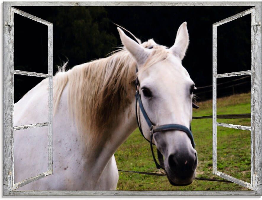 Artland Print op glas Blik uit het venster wit paard - Foto 1