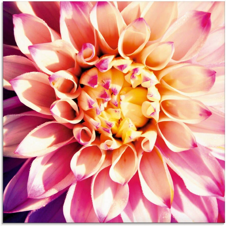 Artland Print op glas Dahlia in verschillende maten