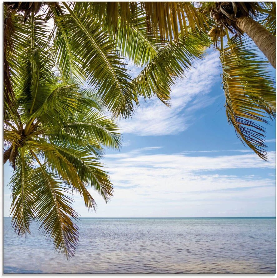 Artland Print op glas Florida Keys de zee in verschillende maten