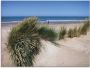 Artland Print op glas Golvende duinen in verschillende maten - Thumbnail 1