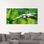 Artland Print op glas Groene achtergrond met gras - Thumbnail 1