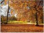 Artland Print op glas Herfst bij slot Nymphenburg - Thumbnail 1