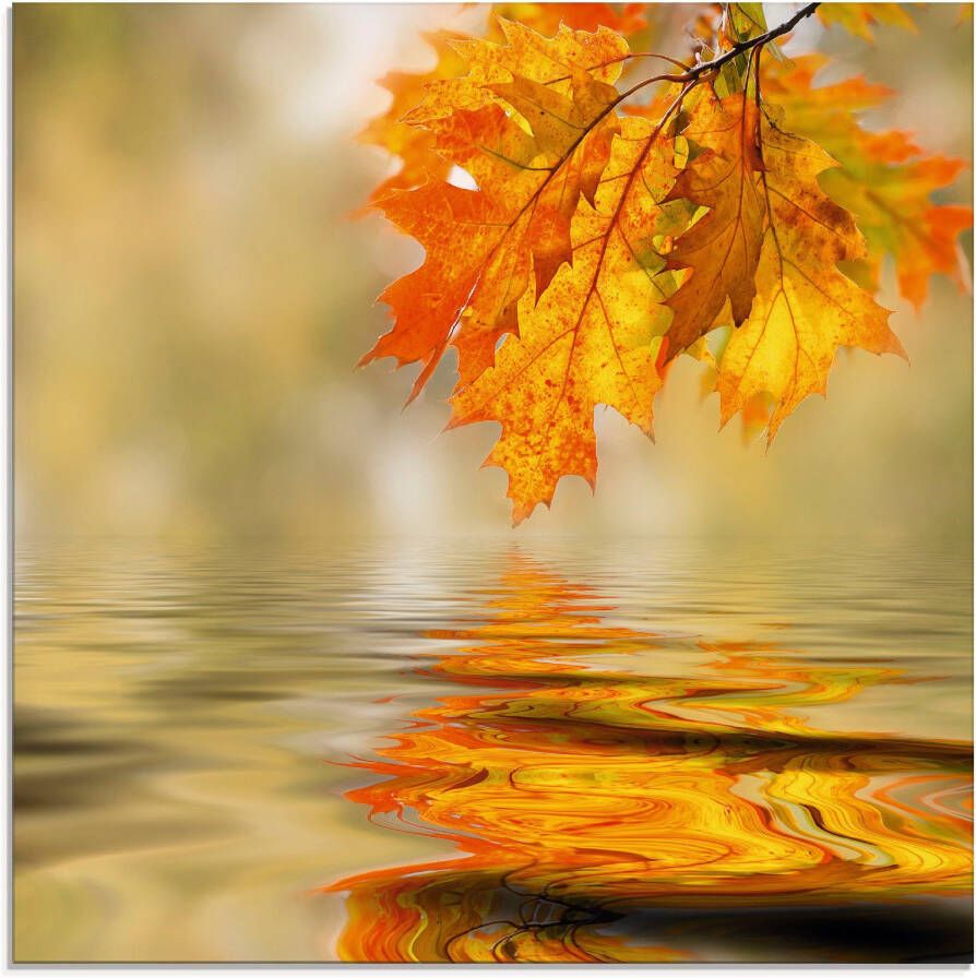 Artland Print op glas Herfstblad in verschillende maten