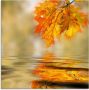 Artland Print op glas Herfstblad in verschillende maten - Thumbnail 1