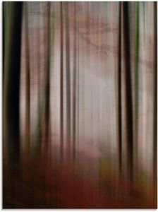 Artland Print op glas In de mist open plek in het bos in verschillende maten
