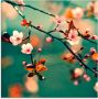 Artland Print op glas Japanse kers Sakura bloemen - Thumbnail 1