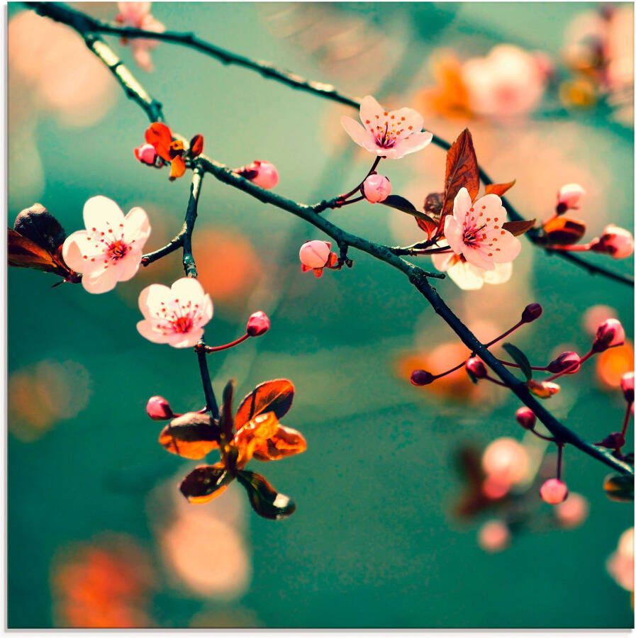 Artland Print op glas Japanse kers Sakura bloemen