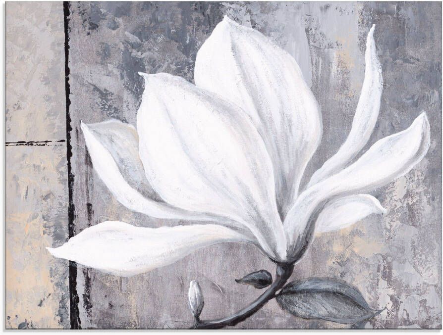 Artland Print op glas Klassieke magnolia in verschillende maten
