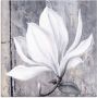 Artland Print op glas Klassieke magnolia in verschillende maten - Thumbnail 1