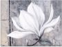 Artland Print op glas Klassieke magnolia in verschillende maten - Thumbnail 1