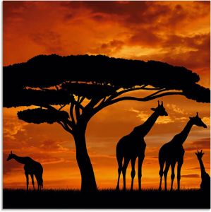 Artland Print op glas Kudde giraffen bij zonsondergang in verschillende maten