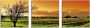 Artland Print op glas Landschap met wijnbergen - Thumbnail 1
