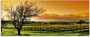 Artland Print op glas Landschap met wijnbergen - Thumbnail 1