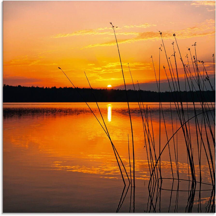 Artland Print op glas Landschap met zonsopkomst