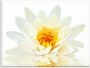 Artland Print op glas Lotusbloem drijft op het water - Thumbnail 1