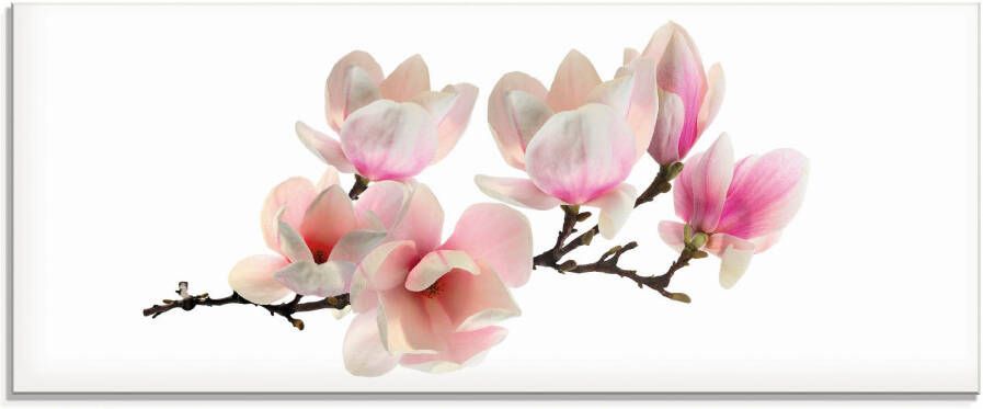 Artland Print op glas MAGNOLIE in verschillende maten